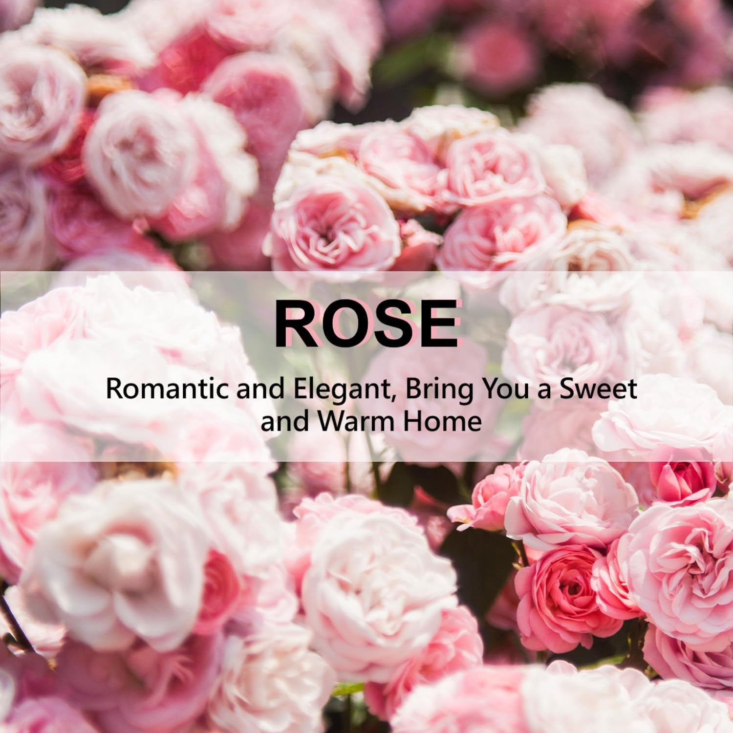 Rose Hanging Closet Deodorizer/Air Freshener (12pk/Long Lasting Scented Sachets)